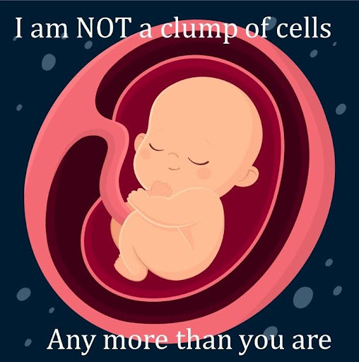 Illustration of baby in utero with text that says I am NOT a clump of cells any more than you are.